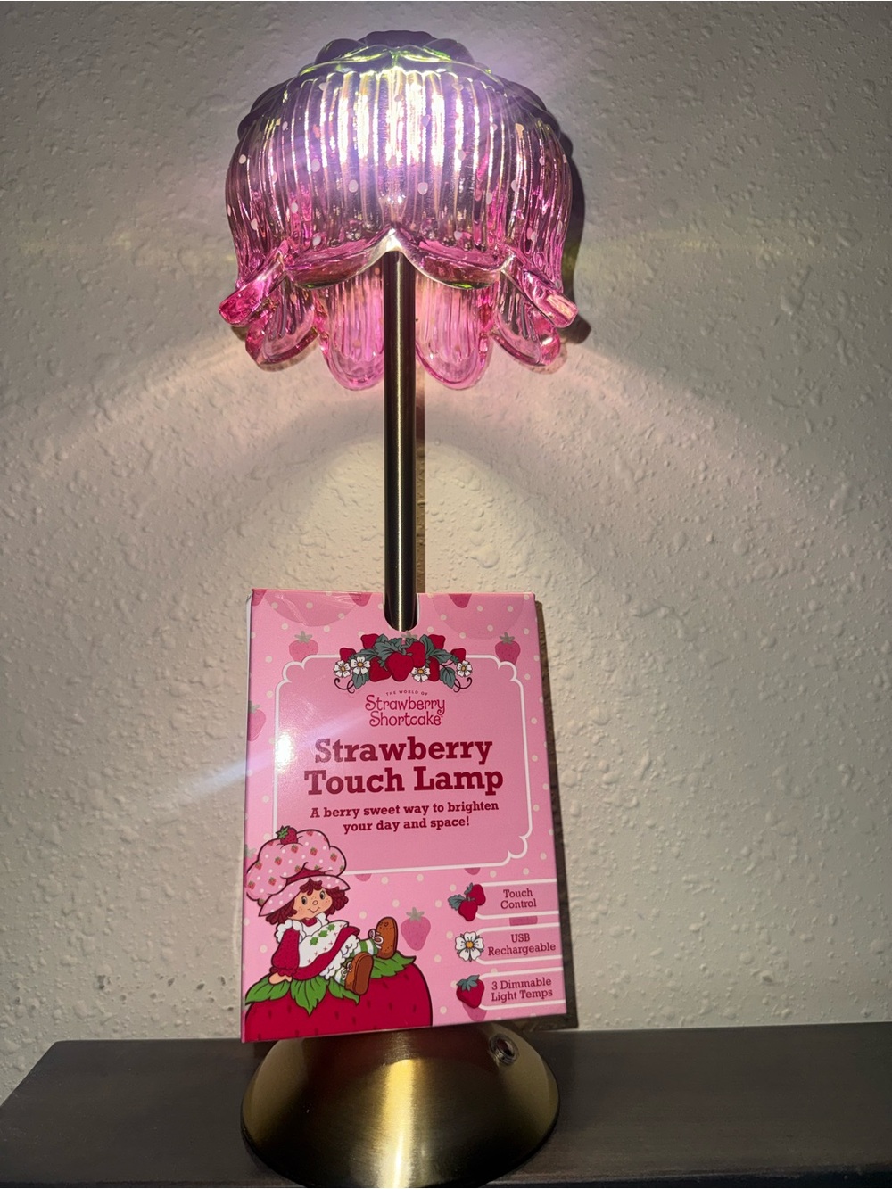 Strawberry Shortcake Touch Lamp